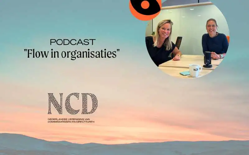 Flow in organisaties - podcast